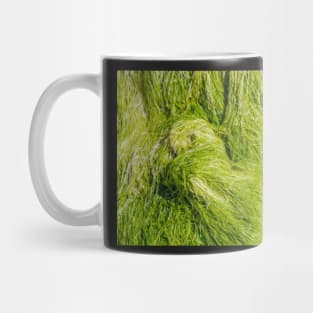 Seagrass Mug